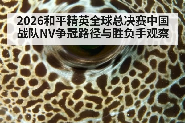 2026和平精英全球总决赛中国战队NV争冠路径与胜负手观察